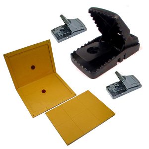 Snap and Glue Traps