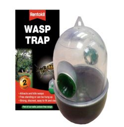 Wasp trap