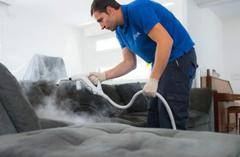 Bed Bugs Heat Steam